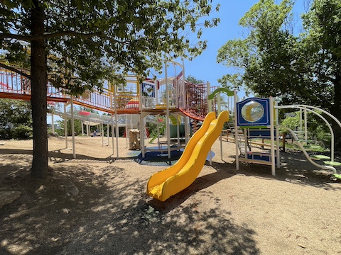 太陽の丘公園の風景