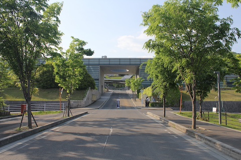 環太平洋大学アスリートホールの風景