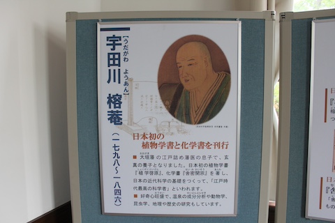 城西浪漫館の風景