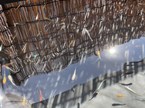 道の駅 みきの風景