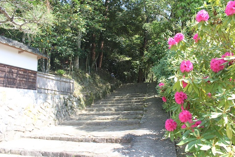 本山寺の風景