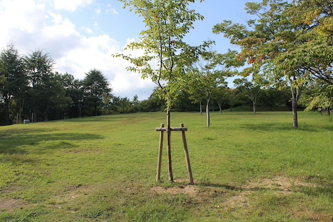 手柄山中央公園の風景