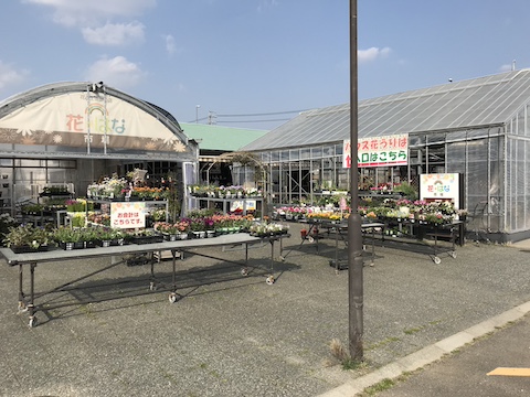 長久手温泉ござらっせの風景