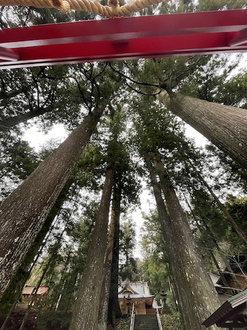 須山浅間神社の風景