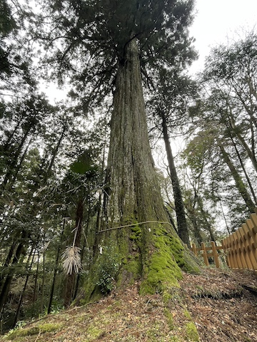 須山浅間神社の風景
