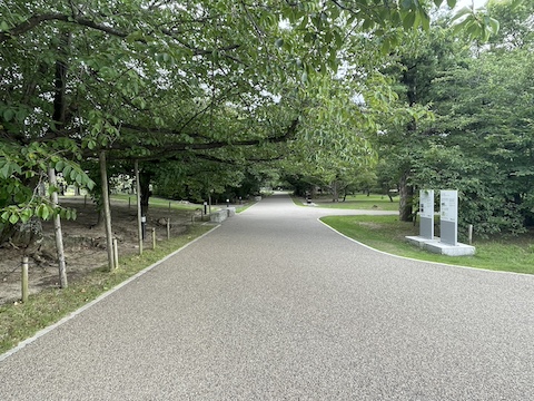 福岡城の風景
