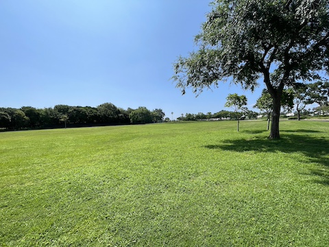 赤穂海浜公園の風景
