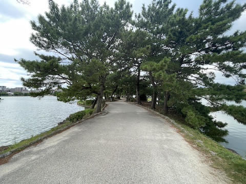 大濠公園の風景