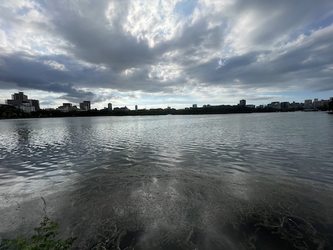 大濠公園の風景