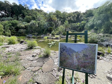 マルモッタンの風景