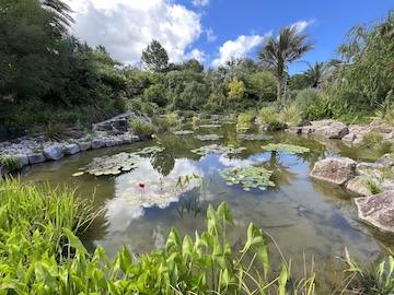 マルモッタンの風景