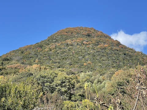 飯野山の風景