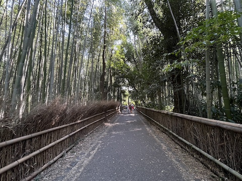 野宮神社の風景