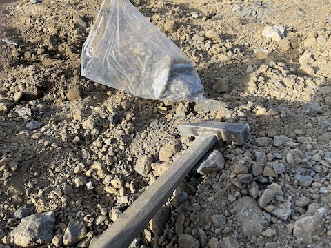 なぎビカリアミュージアムの風景