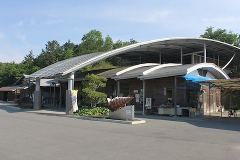 なぎビカリアミュージアムの風景