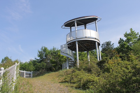 なぎビカリアミュージアムの風景