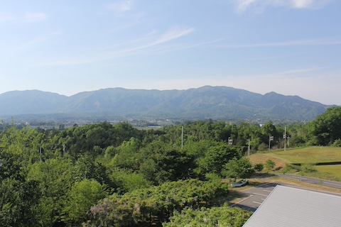 なぎビカリアミュージアムの風景