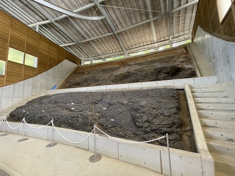 なぎビカリアミュージアムの風景