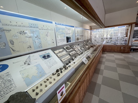 なぎビカリアミュージアムの風景