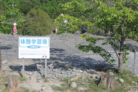 なぎビカリアミュージアムの風景