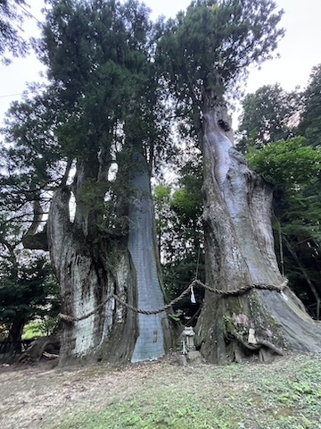 八坂神社境内の風景