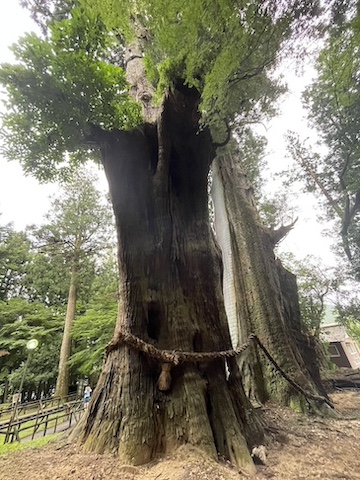 八坂神社境内の風景