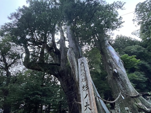 八坂神社境内の風景