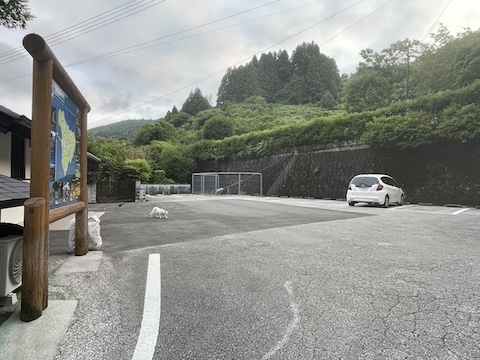 八坂神社境内の風景