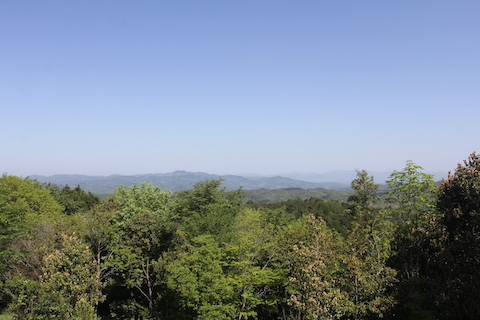 吉井竜天オートキャンプ場の風景