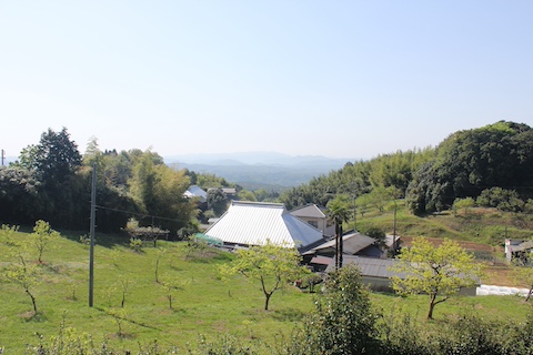 吉井竜天オートキャンプ場の風景