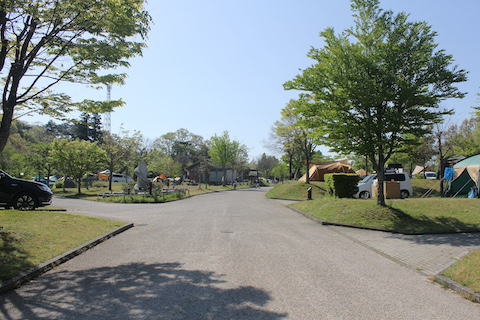 吉井竜天オートキャンプ場の風景
