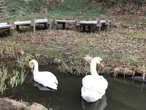 早島ふれあいの森公園の風景