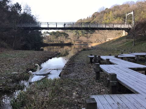 早島ふれあいの森公園の風景