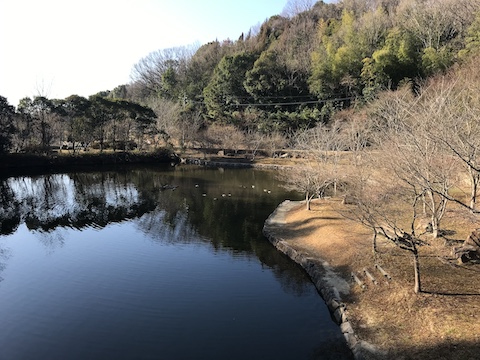 早島ふれあいの森公園の風景