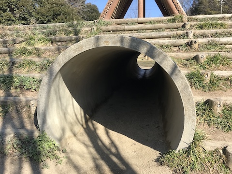 早島ふれあいの森公園の風景
