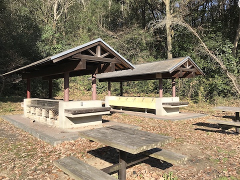 早島ふれあいの森公園の風景