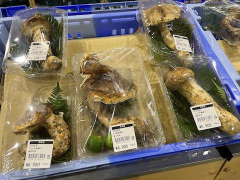 鏡野町物産館 夢広場の風景