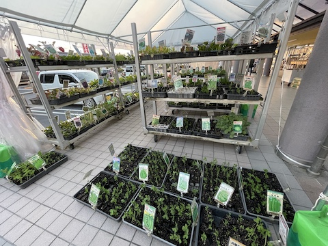 鏡野町物産館 夢広場の風景