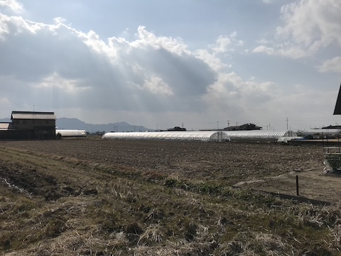 奥山いちご農園 plateの風景