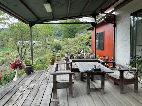 アーリーモーニングの風景