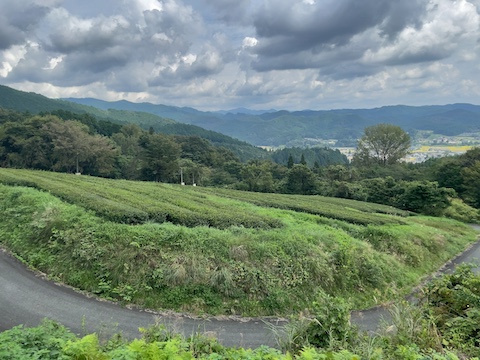 アーリーモーニングの風景