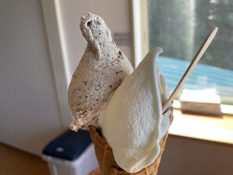 シーサイドファーム なんば牧場アイス屋さんの風景