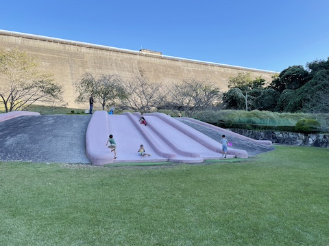 桜山公園の風景