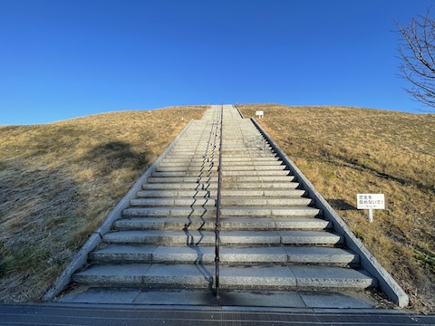 神崎緑地の風景