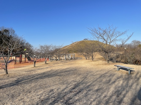 神崎緑地の風景
