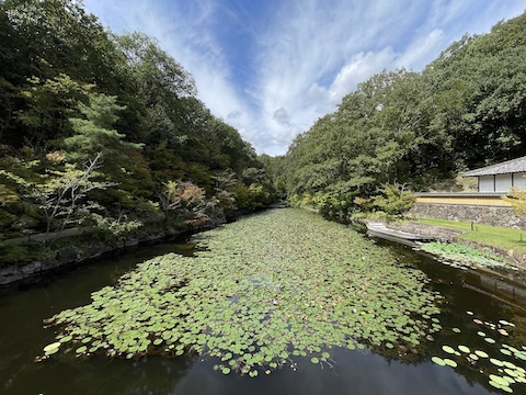 神勝寺の風景