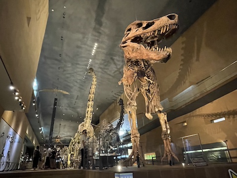 北九州市立いのちのたび博物館の風景