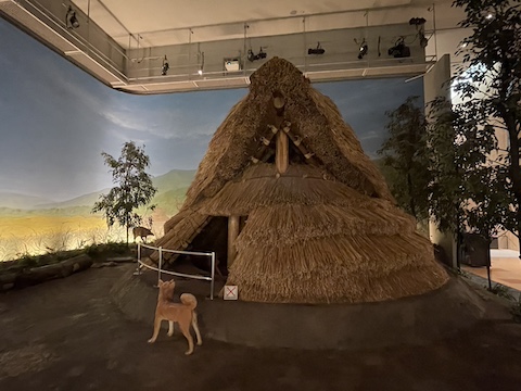 北九州市立いのちのたび博物館の風景