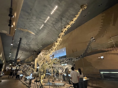 北九州市立いのちのたび博物館の風景
