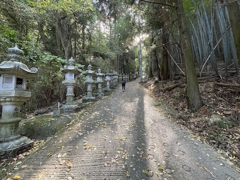 出釈迦寺の風景